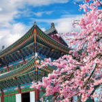 South Korea Travel Guide 2026: How to Relax During Your Stay in Gaepo-dong, Gangnam